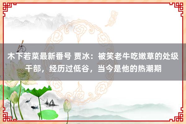 木下若菜最新番号 贾冰：被笑老牛吃嫩草的处级干部，经历过低谷，当今是他的热潮期