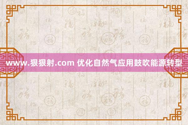 www.狠狠射.com 优化自然气应用鼓吹能源转型