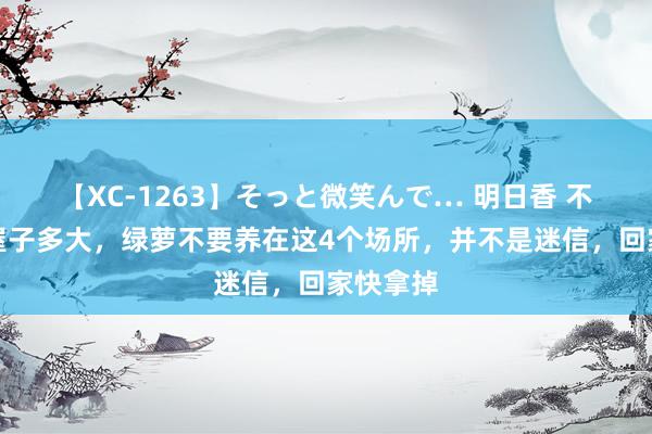 【XC-1263】そっと微笑んで… 明日香 不管你家屋子多大，绿萝不要养在这4个场所，并不是迷信，回家快拿掉