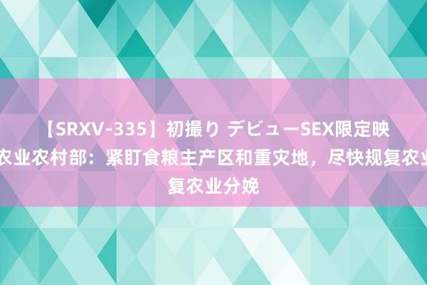 【SRXV-335】初撮り デビューSEX限定映像集 农业农村部：紧盯食粮主产区和重灾地，尽快规复农业分娩