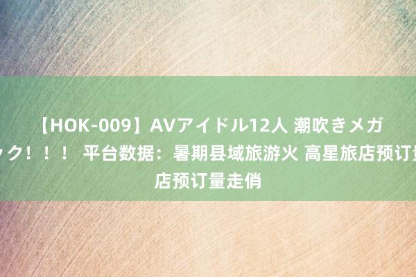 【HOK-009】AVアイドル12人 潮吹きメガファック！！！ 平台数据：暑期县域旅游火 高星旅店预订量走俏