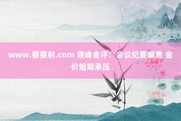 www.狠狠射.com 领峰金评：会议纪要偏鹰 金价短期承压