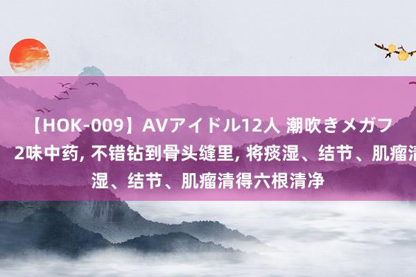 【HOK-009】AVアイドル12人 潮吹きメガファック！！！ 2味中药， 不错钻到骨头缝里， 将痰湿、结节、肌瘤清得六根清净