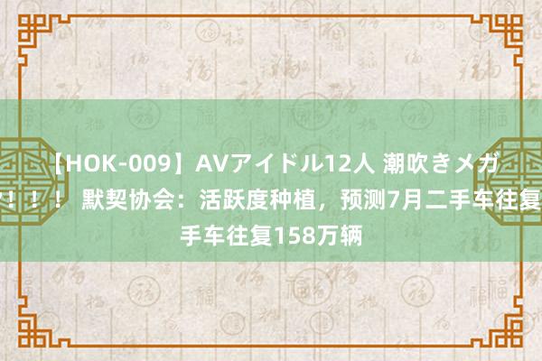 【HOK-009】AVアイドル12人 潮吹きメガファック！！！ 默契协会：活跃度种植，预测7月二手车往复158万辆