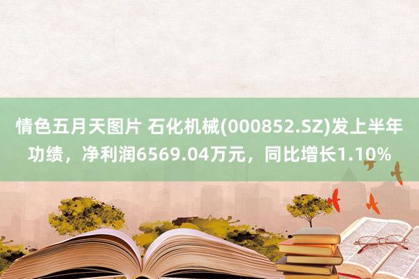 情色五月天图片 石化机械(000852.SZ)发上半年功绩，净利润6569.04万元，同比增长1.10%