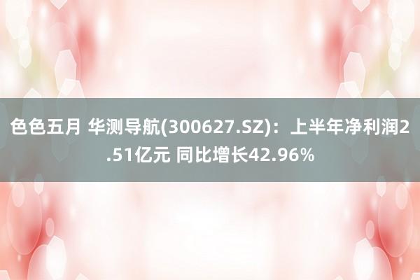 色色五月 华测导航(300627.SZ)：上半年净利润2.51亿元 同比增长42.96%