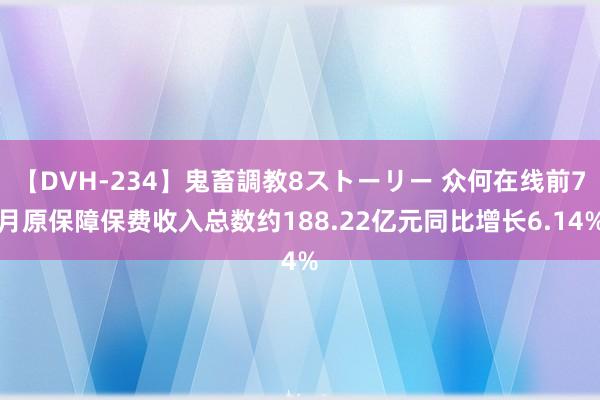 【DVH-234】鬼畜調教8ストーリー 众何在线前7月原保障保费收入总数约188.22亿元同比增长6.14%