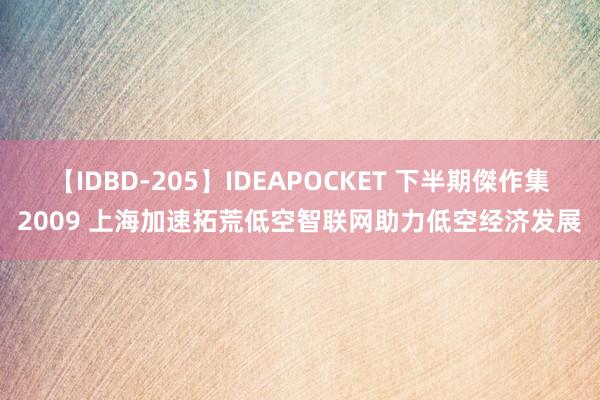 【IDBD-205】IDEAPOCKET 下半期傑作集2009 上海加速拓荒低空智联网助力低空经济发展