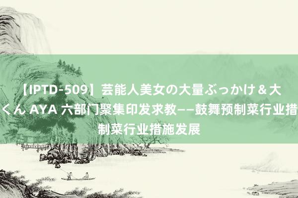 【IPTD-509】芸能人美女の大量ぶっかけ＆大量ごっくん AYA 六部门聚集印发求教——鼓舞预制菜行业措施发展