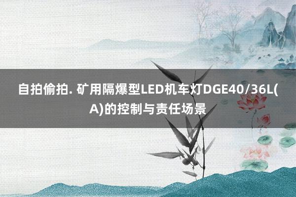 自拍偷拍. 矿用隔爆型LED机车灯DGE40/36L(A)的控制与责任场景