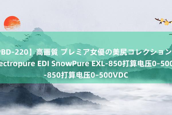 【PBD-220】高画質 プレミア女優の美尻コレクション8時間 Electropure EDI SnowPure EXL-850打算电压0–500VDC