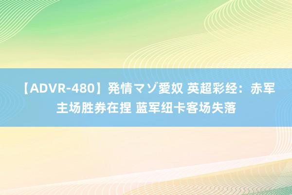 【ADVR-480】発情マゾ愛奴 英超彩经：赤军主场胜券在捏 蓝军纽卡客场失落