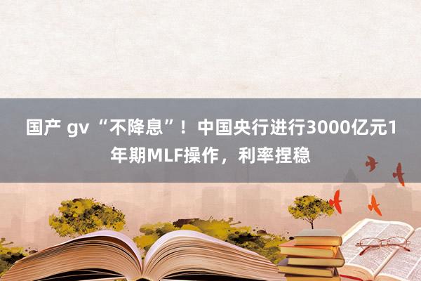 国产 gv “不降息”！中国央行进行3000亿元1年期MLF操作，利率捏稳