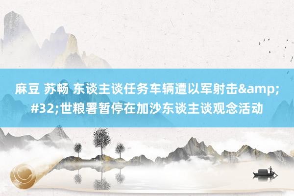 麻豆 苏畅 东谈主谈任务车辆遭以军射击&#32;世粮署暂停在加沙东谈主谈观念活动