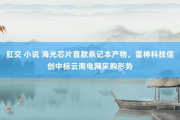 肛交 小说 海光芯片首款条记本产物，雷神科技信创中标云南电网采购形势