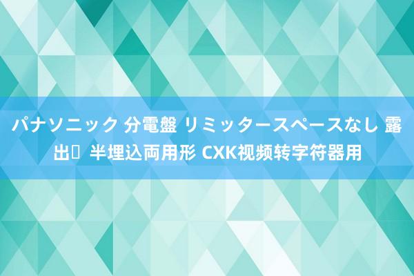 パナソニック 分電盤 リミッタースペースなし 露出・半埋込両用形 CXK视频转字符器用