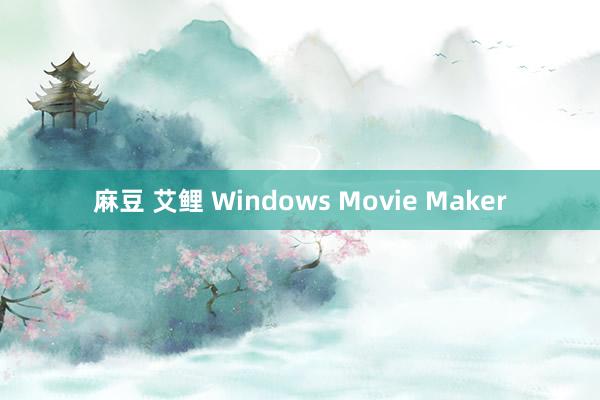 麻豆 艾鲤 Windows Movie Maker