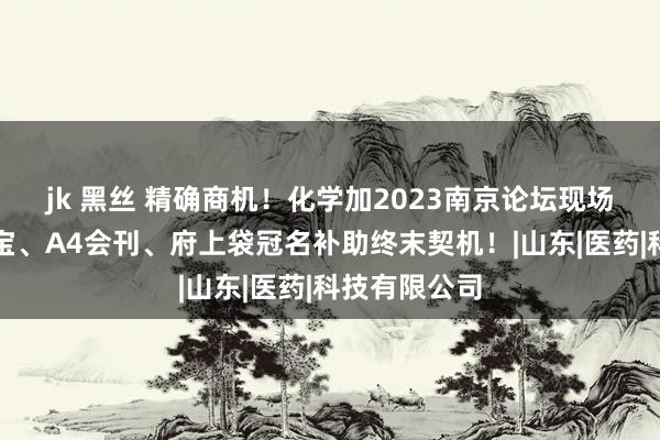 jk 黑丝 精确商机！化学加2023南京论坛现场展位、易拉宝、A4会刊、府上袋冠名补助终末契机！|山东|医药|科技有限公司