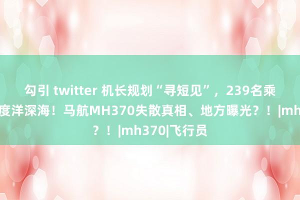 勾引 twitter 机长规划“寻短见”，239名乘客被困南印度洋深海！马航MH370失散真相、地方曝光？！|mh370|飞行员